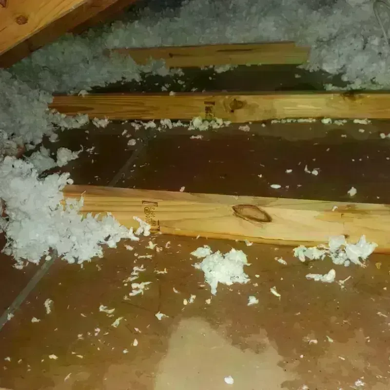 Attic Water Damage in Olivet, TN